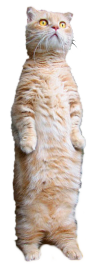 Transparent Standing Cat (Smallbrainfield)